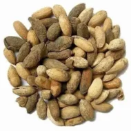 الاسم العلمي: Azadirachta indica