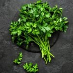 🌿 بقدونس – Petroselinum crispumgabaseed.