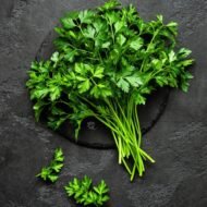 🌿 بقدونس – Petroselinum crispumgabaseed.