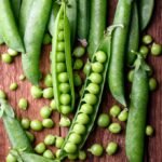 بذور البسلة – Pisum sativumgabaseed