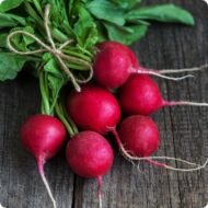 🌿 فجل – Raphanus sativusgabaseed.