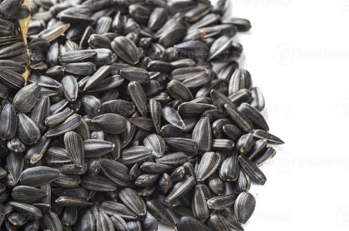 من أسمائها المتداولة: دوار الشمس – عباد الشمس – زهرة الشمس – الشمسية – Sunflower – Common Sunflower – Annual Sunflower