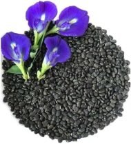 🌿 الشاي الأزرق – Clitoria ternatea الاسم العلمي: Clitoria ternatea L. من أسمائها المتداولة: الشاي الأزرق – زهرة الشاي الأزرق – البازلاء الزرقاء – بازلاء الفراشة – زهرة الفراشة – Blue Pea – Butterfly Pea – Blue Butterfly Pea – Asian Pigeonwings – Clitoria ternatea