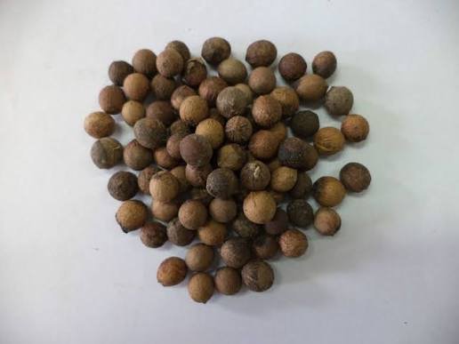 – Indian Sandalwood – White Sandalwood – True Sandalwood – East Indian Sandalwoodمن أسمائها المتداولة: الصندل الأبيض – الصندل الهندي – الصندل الحقيقي – الصندل العطري