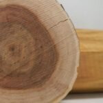 – Indian Sandalwood – White Sandalwood – True Sandalwood – East Indian Sandalwoodمن أسمائها المتداولة: الصندل الأبيض – الصندل الهندي – الصندل الحقيقي – الصندل العطري