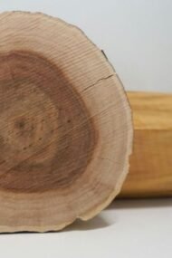 – Indian Sandalwood – White Sandalwood – True Sandalwood – East Indian Sandalwoodمن أسمائها المتداولة: الصندل الأبيض – الصندل الهندي – الصندل الحقيقي – الصندل العطري