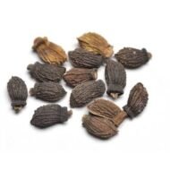 🌿 خبز النحل – Borago officinalis الاسم العلمي: Borago officinalis L. من أسمائها المتداولة: خبز النحل – لسان الثور – البوراج – لسان الحمل الأزرق – Borage – Common Borage – Starflower – Borago officinalis