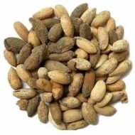 – Neem – Indian Neem – Indian Lilac – Margosa – Azadirachta indicaمن أسمائها المتداولة: النيم – شجرة النيم – النيم الهندي – شجرة القرية