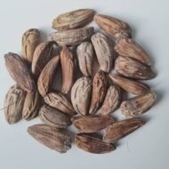 من أسمائها المتداولة: اللاتانيا الأحمر، نخيل اللاتانيا الأحمر، Red Latan Palm، Red Latanier