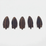من أسمائها المتداولة: اللاتانيا الأصفر، نخيل اللاتانيا الأصفر، Yellow Latan Palm، Yellow Latanier
