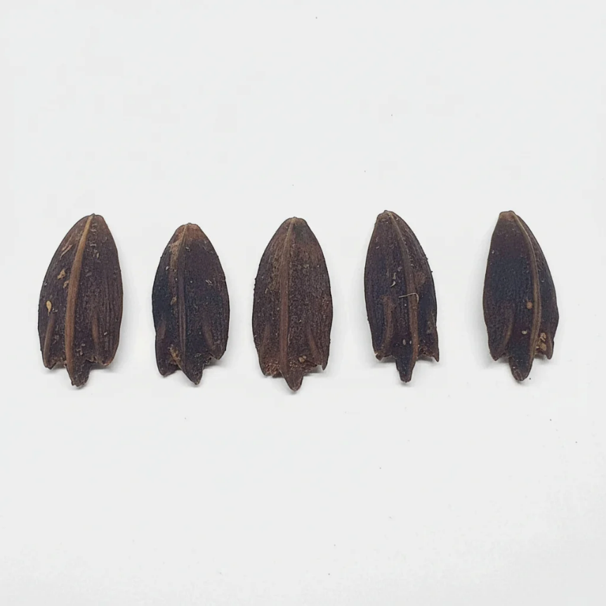 من أسمائها المتداولة: اللاتانيا الأصفر، نخيل اللاتانيا الأصفر، Yellow Latan Palm، Yellow Latanier