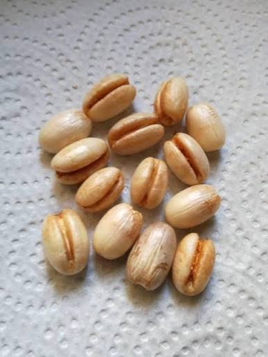 من أسمائها المتداولة: نخيل الكناري، نخيل البلح الكناري، نخيل جزر الكناري، Canary Island Date Palm، Pineapple Palm