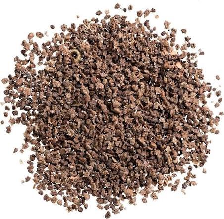 🌿 كوكيا – Bassia scoparia الاسم العلمي: Bassia scoparia (L.) A.J.Scott من أسمائها المتداولة: كوكيا – كوشيا – كوشيا كوتونيا – السرو الصيفي – شجرة المكنسة – Kochia – Burning Bush – Summer Cypress – Mexican Fireweed – Belvedere