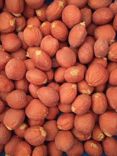 من أسمائها المتداولة: السيكاس، نخيل السيكاس، نخيل الساغو الياباني، Sago Palm، Japanese Sago Palm، King Sago Palm