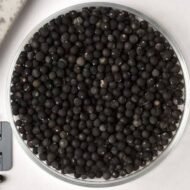 من أسمائها المتداولة: إسباركس ذيل القط، ذيل القط، سرخس الهليون، سرخس الزمرد، Asparagus Fern، Foxtail Fern، Emerald Fern