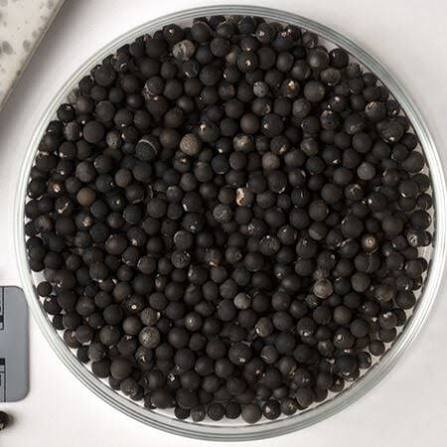 من أسمائها المتداولة: إسباركس ذيل القط، ذيل القط، سرخس الهليون، سرخس الزمرد، Asparagus Fern، Foxtail Fern، Emerald Fern