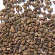 – Smoketree – Smoke Tree – Smoke Bush – European Smoketree – Eurasian Smoketreeمن أسمائها المتداولة: شجرة الدخان – شجيرة الدخان – السماق الدخاني