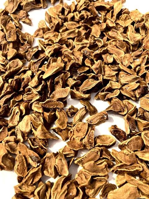 – Bald Cypress – Swamp Cypress – Louisiana Cypressمن أسمائها المتداولة: تاكسوديم – السرو الأصلع – السرو المستنقعي – السرو النهري
