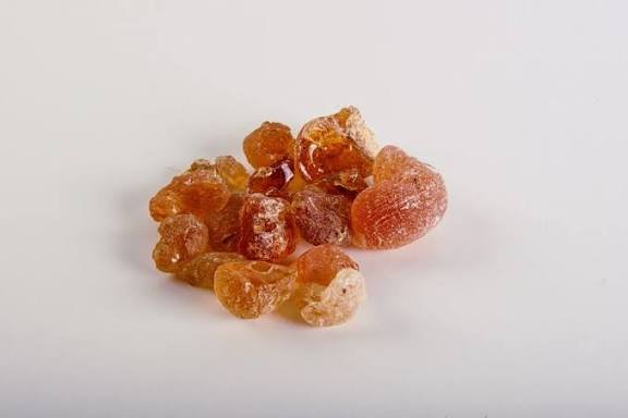 – Gum Arabic Tree – Gum Acacia – Senegal Acacia – Hashab – Acacia senegalمن أسمائها المتداولة: الصمغ العربي – السنط السنغالي – السنط السوداني – شجرة الصمغ العربي – السنط الهشاب – هشاب