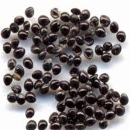 من أسمائها المتداولة: أمارنتس – القطيفة – قطيفة الزهور – أمارانث – Amaranth – Love-lies-bleeding – Joseph’s Coat – Globe Amaranth، حسب النوع والصنف