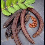 – Carob – Carob Tree – St. John's Breadمن أسمائها المتداولة: الخروب – شجرة الخروب