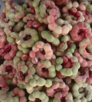 – Manila Tamarind – Madras Thorn – Camachileمن أسمائها المتداولة: لوز هندي – مانيلا تاماريند