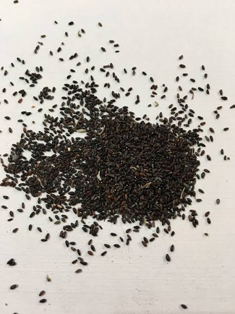 – Lemon Balm – Balm Mint – Bee Balm – Sweet Balm – Melissa officinalisمن أسمائها المتداولة: نعناع المليسا – المليسا – بلسم الليمون – الترنجان – حشيشة النحل