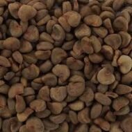 – Roselle – Red Sorrel – Sudanese Hibiscusمن أسمائها المتداولة: الكركديه – الكركديه المصري – روزيل