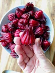 – Roselle – Red Sorrel – Sudanese Hibiscusمن أسمائها المتداولة: الكركديه – الكركديه المصري – روزيل
