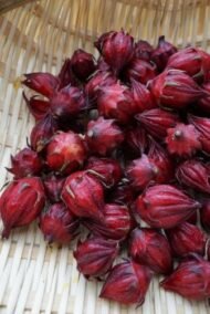 – Roselle – Red Sorrel – Sudanese Hibiscusمن أسمائها المتداولة: الكركديه – الكركديه المصري – روزيل