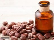 – Jojoba – Jojoba Bush – Goat Nutمن أسمائها المتداولة: الجوجوبا – الهوهوبا
