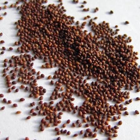 من أسمائها المتداولة: البردقوش – المردقوش – المردكوش – العترة – البردقوش الحلو – Sweet Marjoram – Marjoram – Knotted Marjoram – Origanum majorana