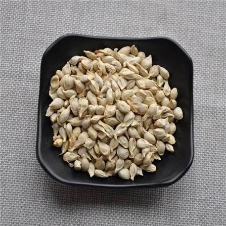 – Mexican Lime – Key Lime – West Indian Lime – Bartender’s Lime – Citrus aurantiifoliaمن أسمائها المتداولة: ليمون بن زهير – الليمون البلدي – الليمون المكسيكي – الليمون الحامض