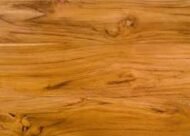 ، Teak Tree، Teakمن أسمائها المتداولة: الساج، خشب الساج