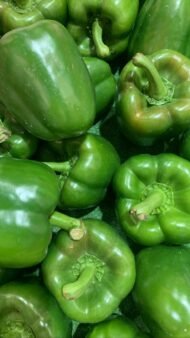 – Bell Pepper – Sweet Pepper – Sweet Capsicum – Green Pepper – Paprika Pepper – Capsicum annuumمن أسمائها المتداولة: فلفل حلو – فلفل رومي – فلفل بارد – فلفل أخضر – فلفل ألوان – الفلفل الحلو