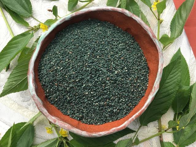 – Jew’s Mallow – Nalta Jute – Egyptian Mallow – Jute Mallow – Tossajute – Corchorus olitoriusمن أسمائها المتداولة: ملوخية بلدي – ملوخية – الملوخية المصرية – الملوخية الخضراء