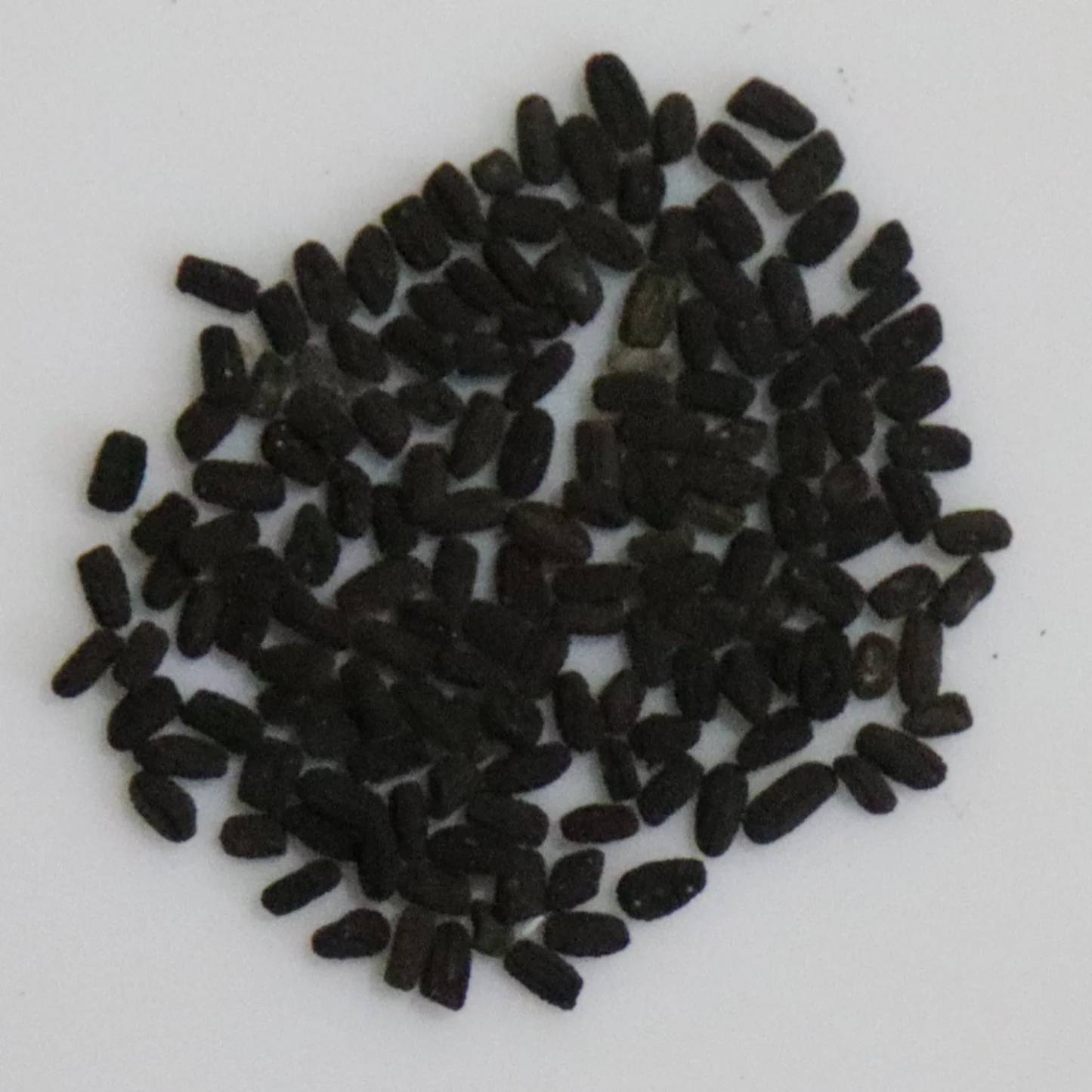 الاسم العلمي: Vinca spp من أسمائها المتداولة: الوينكا – البفتة – فينكا – الدفلى القزمية – Vinca – Periwinkle – Myrtle – Common Periwinkle