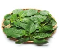 – Jew’s Mallow – Nalta Jute – Egyptian Mallow – Jute Mallow – Tossajute – Corchorus olitoriusمن أسمائها المتداولة: ملوخية بلدي – ملوخية – الملوخية المصرية – الملوخية الخضراء