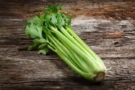 – Celery – Garden Celery – Stalk Celery – Leaf Celery – Apium graveolensمن أسمائها المتداولة: كرفس – الكرفس البلدي – الكرفس الأخضر – كرفس المائدة