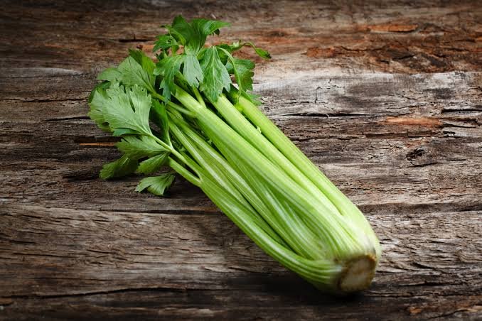 – Celery – Garden Celery – Stalk Celery – Leaf Celery – Apium graveolensمن أسمائها المتداولة: كرفس – الكرفس البلدي – الكرفس الأخضر – كرفس المائدة