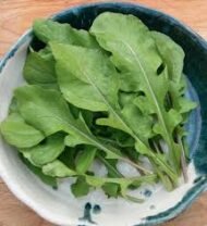 – Rocket – Arugula – Garden Rocket – Salad Rocket – Roquette – Eruca sativaمن أسمائها المتداولة: جرجير – جرجير بلدي – جرجير مصري – روكا – روكولا