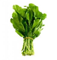 – Rocket – Arugula – Garden Rocket – Salad Rocket – Roquette – Eruca sativaمن أسمائها المتداولة: جرجير – جرجير بلدي – جرجير مصري – روكا – روكولا