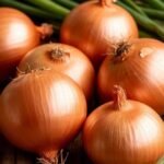 – White Onion – Common Onion – Bulb Onion – Garden Onionمن أسمائها المتداولة: بصل أبيض – البصل الأبيض – البصل البلدي