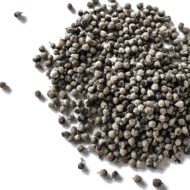 – Chaste Tree – Chasteberry – Monk’s Pepper – Abraham’s Balm – Vitex agnus-castusمن أسمائها المتداولة: كف مريم – شجرة كف مريم – فيتكس – شجرة العفة – شجرة راهب الفلفل – شجرة الفلفل