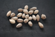 – Arabian Moringa – Wild Moringa – Desert Moringa – Moringa peregrinaمن أسمائها المتداولة : المورينجا العربية – المورينجا البرية – شجرة البان العربي – البان الصحراوي – المورينجا الصحراوية