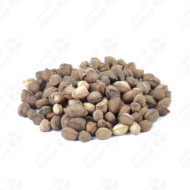 – Arabian Moringa – Wild Moringa – Desert Moringa – Moringa peregrinaمن أسمائها المتداولة : المورينجا العربية – المورينجا البرية – شجرة البان العربي – البان الصحراوي – المورينجا الصحراوية