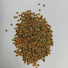 الاسم العلمي: Matthiola incana (L.) W.T.Aiton من أسمائها المتداولة: منثور – منثور مكس ألوان – منثور بلدي – منثور شتوي – المنثور الليلي – Stock – Garden Stock – Hoary Stock – Brompton Stock – Matthiola incana