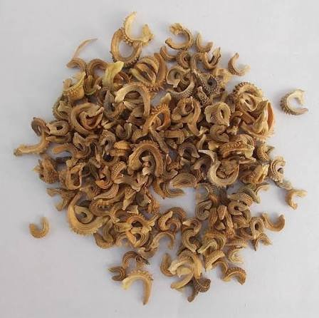 🌿 أقحوان الكالنديولا – Calendula officinalis الاسم العلمي: Calendula officinalis L. من أسمائها المتداولة: أقحوان الكالنديولا – كالنديولا – آذريون – الآذريون الطبي – زهرة الآذريون – Calendula – Pot Marigold – Common Marigold – English Marigold – Calendula officinalis