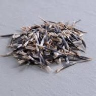 🌿 أزهار القطيفة – Tagetes erecta الاسم العلمي: Tagetes erecta L. من أسمائها المتداولة: القطيفة – القطيفة الأفريقية – القطيفة الكبيرة – القطيفة الزهرية – القطيفة البرتقالية – African Marigold – Aztec Marigold – Mexican Marigold – Cempasúchil – Tagetes erecta