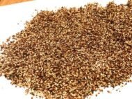 🌿 بذور فيكس لسان عصفور – Ficus religiosa gabaseed